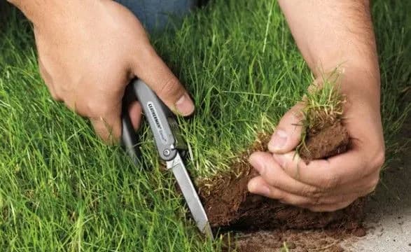 Сільського голову запідозрили у роздачі землі на Київщині