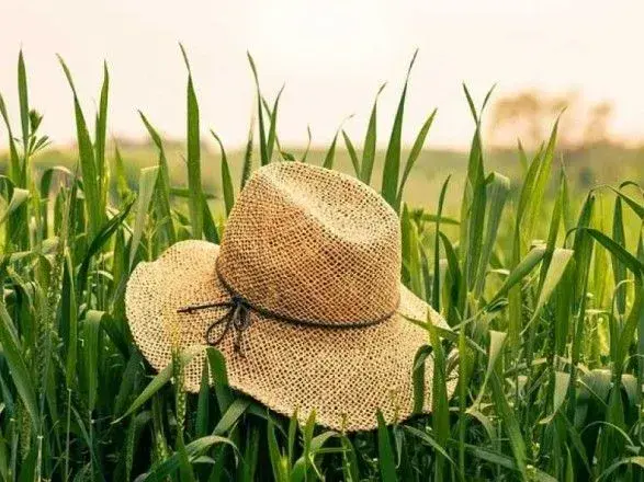 Рада відхилила закон щодо введення до Конституції поняття "фермерське господарство"