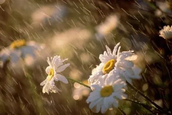 Сьогодні в Україні до 33 градусів тепла