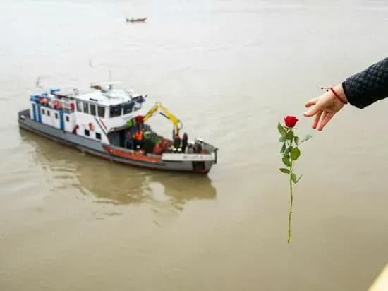 Число погибших при столкновении катеров в Венгрии возросло до 12 человек