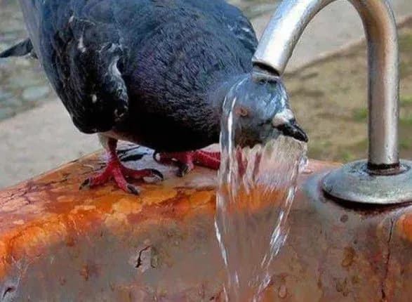 У Таллінні зафіксували аномальну спеку