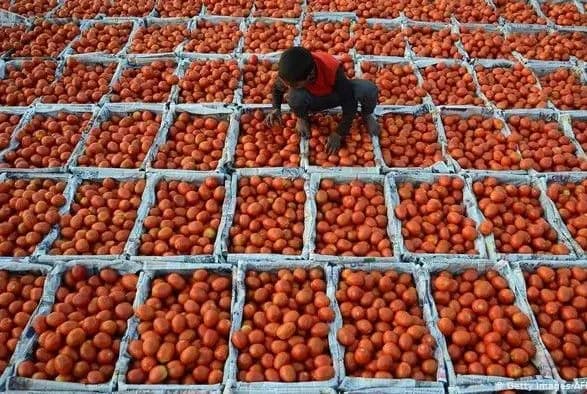 У світі експлуатують працю 152 мільйонів дітей