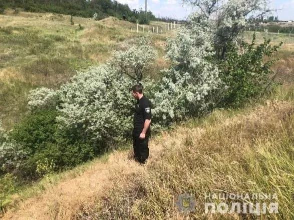 На Одещині зникла 11-річна дівчинка: до пошуків залучили авіацію