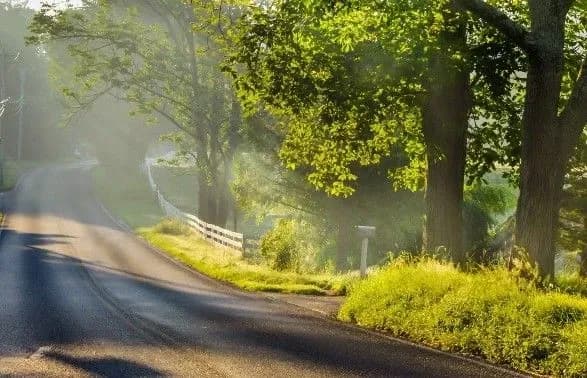 В Україні сьогодні до 33 градусів тепла