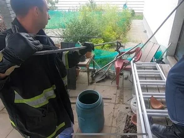 У Дніпропетровській області на подвір'ї будинку виявили змію
