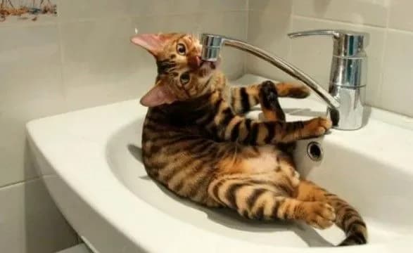 У Києві шість вулиць залишилися без води