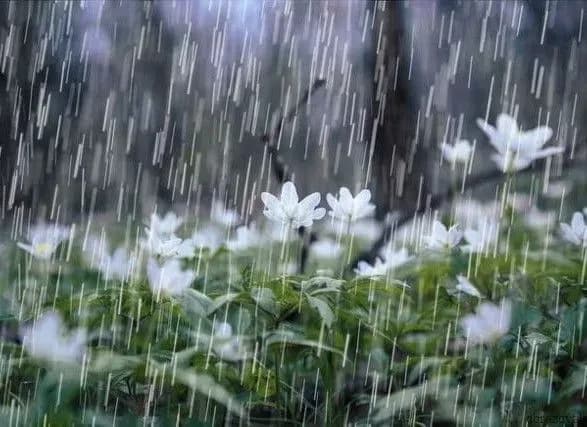 Синоптики дали прогноз погоди на завтра