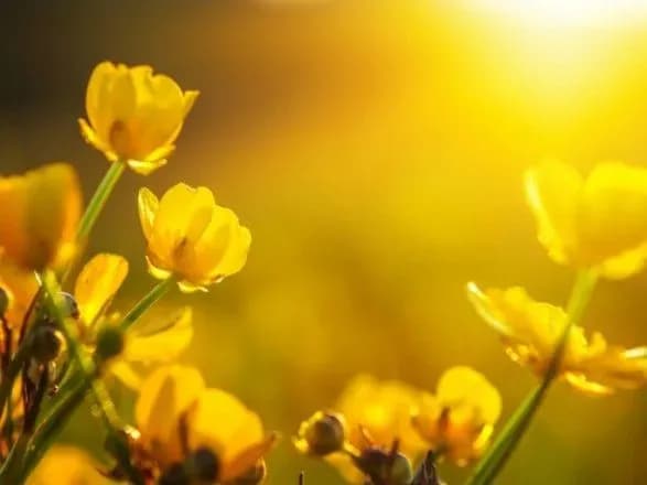 Червень цьогоріч став найтеплішим у Києві за 139 років спостережень