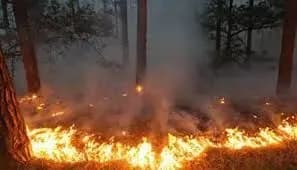 В Україні зберігається великий рівень пожежної небезпеки