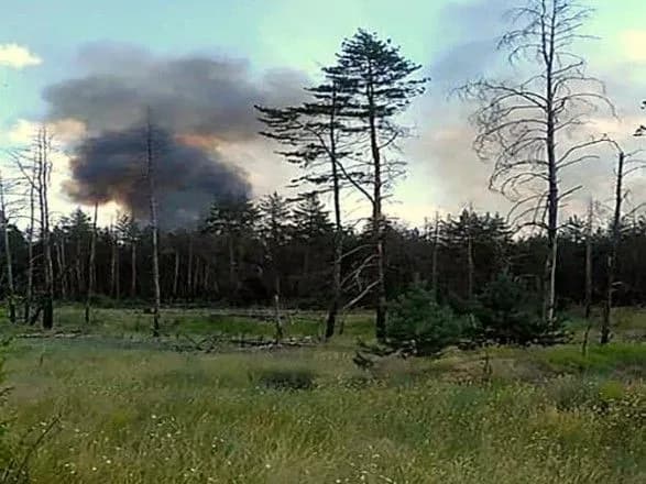 Район лісу, який загорівся поблизу Станиці Луганської, почали гасити