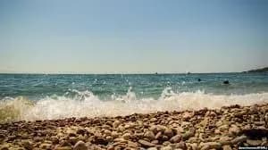 В окупованому Криму твердять про екологічну катастрофу через забруднення морської води