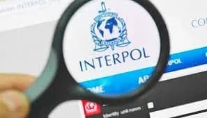 На кордоні затримали іноземця, якого Інтерпол розшукував за контрабанду