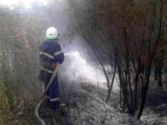На Дніпропетровщині сталася лісова пожежа