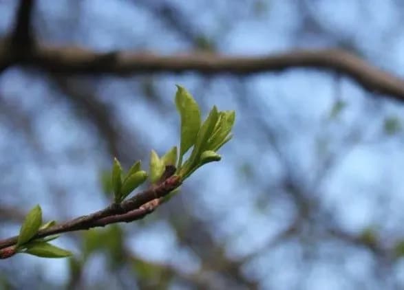 Синоптики дали прогноз погоди на завтра