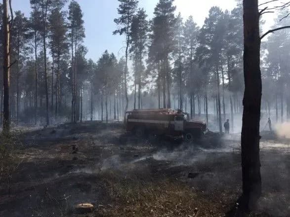 На Херсонщині горить п'ять гектарів лісу