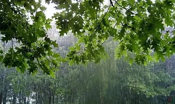 Синоптики попередили про погіршення погодних умов