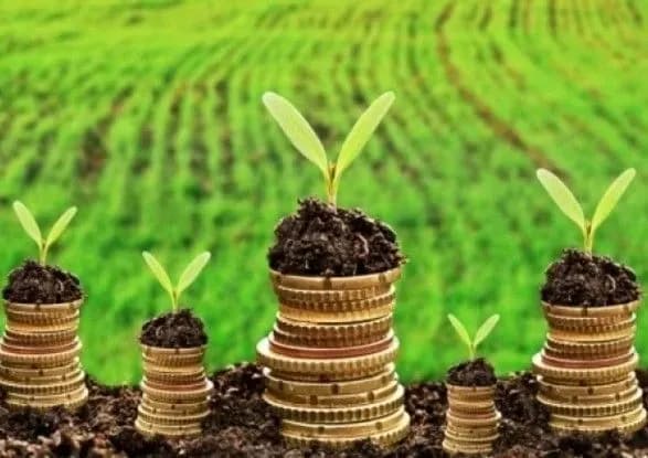 Українці з початку року сплатили майже 2 млрд грн плати за землю