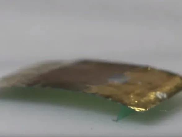 Вчені розробили надміцного робота розміром з таргана