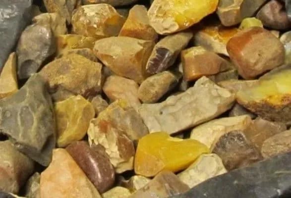 На Житомирщині п'ятьом людям повідомили про підозру за копання бурштину