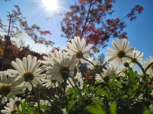 Синоптики дали прогноз погоди на завтра