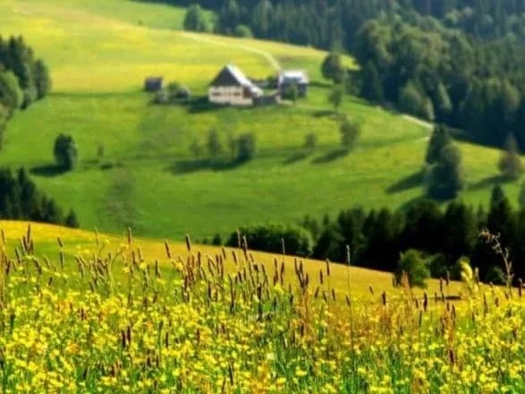 Синоптики дали прогноз погоды на выходные