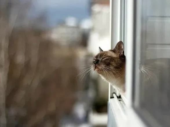 Синоптики розповіли, якою буде погода завтра