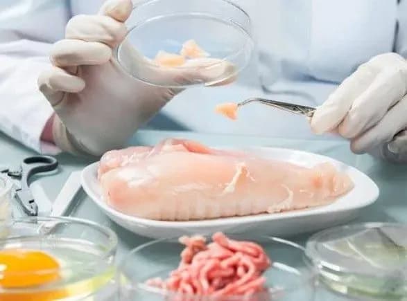 У Salateira готували непридатні до вживання сендвічі та десерти - контролери