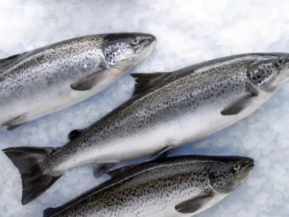 Половина української мороженої риби йде на експорт до Європи