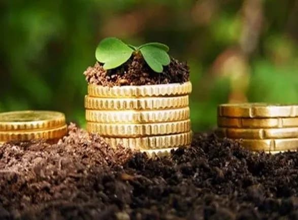 Кабмін хоче продавати українську землю іноземцям