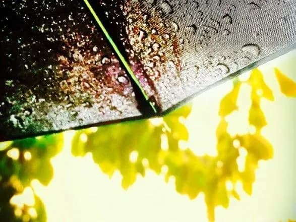 В Україні сьогодні до 32 градусів тепла