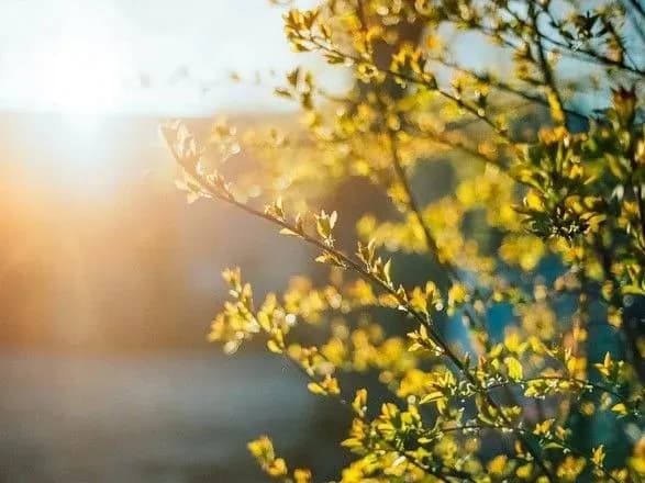 Сьогодні у столиці до 23 градусів тепла