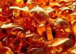 Підраховано суму збитків через незаконний видобуток бурштину на Житомирщині