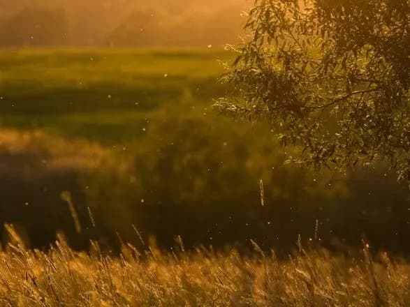 Синоптики дали прогноз погоди на завтра