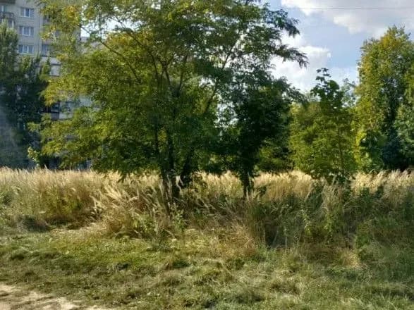 У Львові в кущах виявили тіло повішеного чоловіка