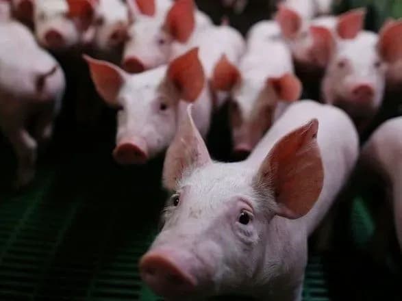 В Україні змінюють правила відшкодування збитків, завданих АЧС