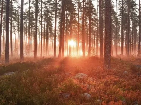 В Україні очікується поступове зниження температури