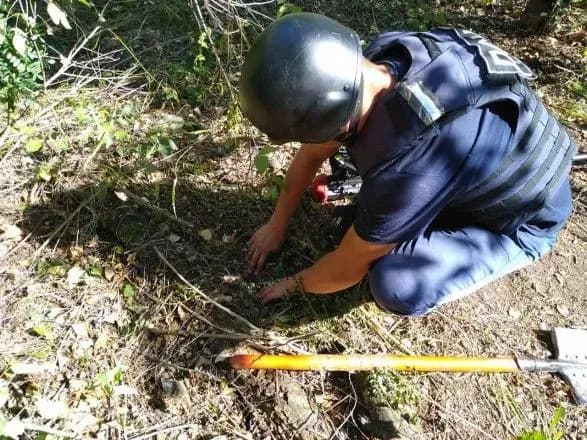 В Станице Луганской на 300 кв. м нашли два артснаряда и 30 гранат