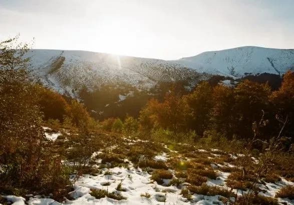 Сніг у Карпатах можливий уже у п'ятницю - синоптики