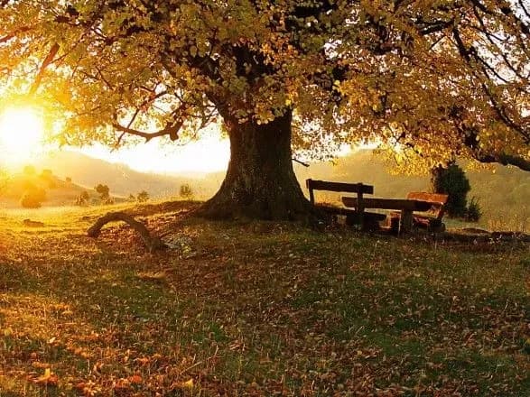 Сьогодні в Україні до 25 градусів тепла