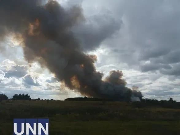 Під Києвом сталася масштабна природна пожежа