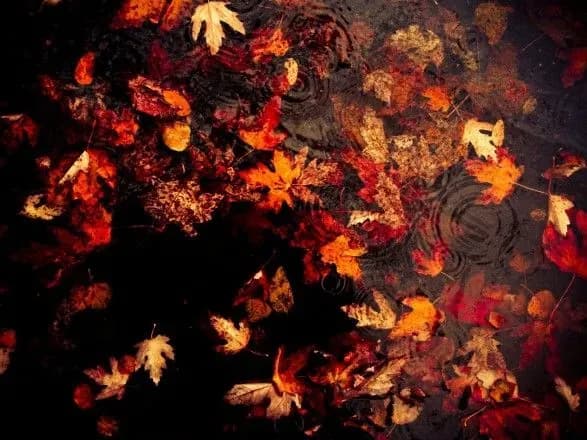 Сьогодні в Україні продовжить дощити