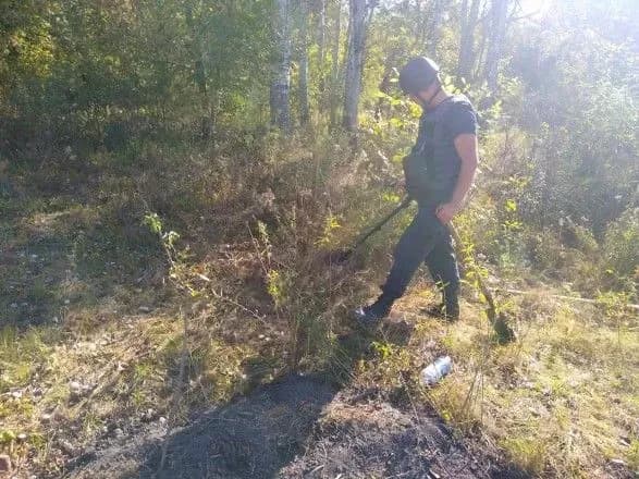 Під час розмінування біля Станиці Луганської знайшли 36 артснарядів