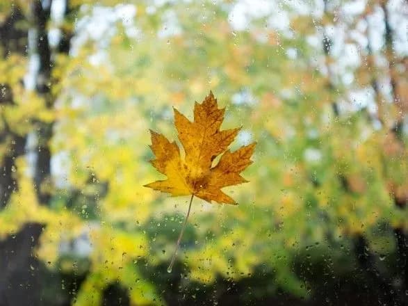 Сьогодні в Україні до 25 градусів тепла