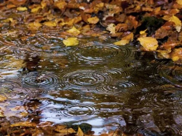 Українців попередили про сильні дощі та грози