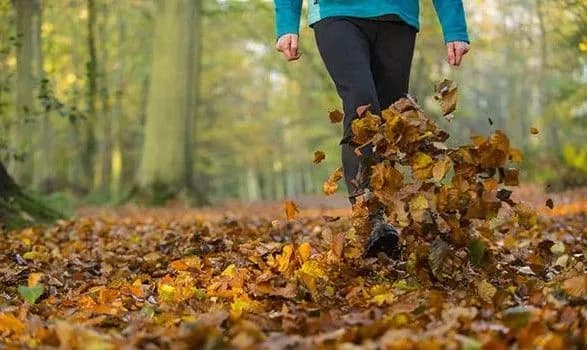 Сьогодні в Україні до 13 градусів тепла