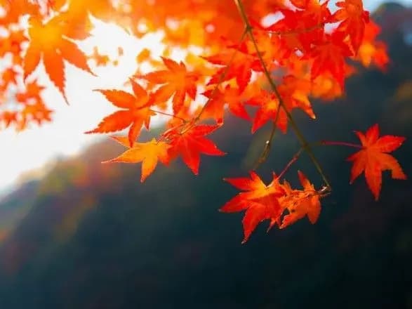 Сьогодні в Україні до 19 градусів тепла