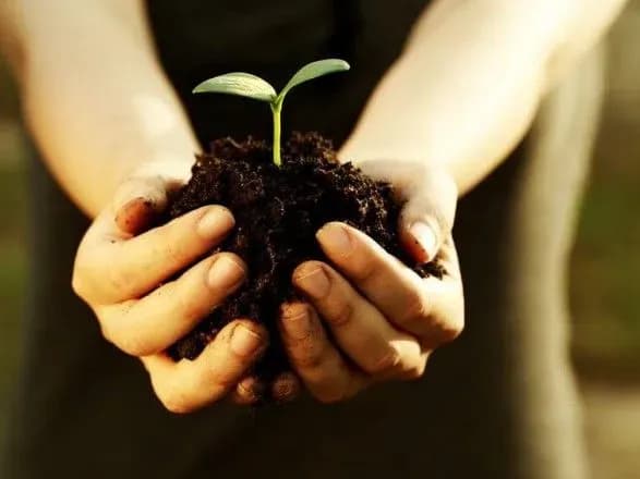 У профільному комітеті ВР розповіли, що формуватиме вартість землі на ринку