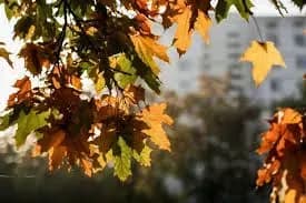 На День захисника в Україні до 23 градусів тепла