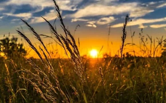 Сьогодні в Україні до 22 градусів тепла