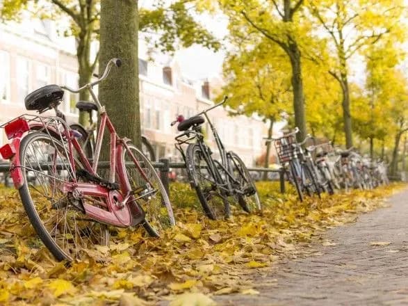 Бабине літо продовжується: в Україні до 22 градусів тепла